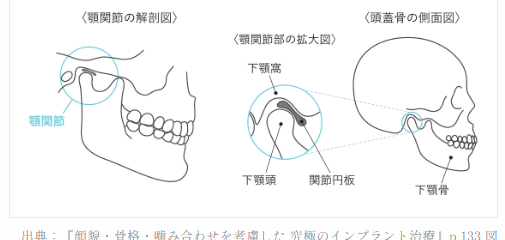 顎関節の解剖図と頭蓋骨の側面図。下顎頭・下顎窩・関節円板の位置を示す